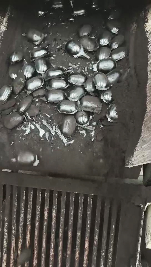 山西大同客戶到我公司進(jìn)行活性炭干粉壓球試驗(yàn)